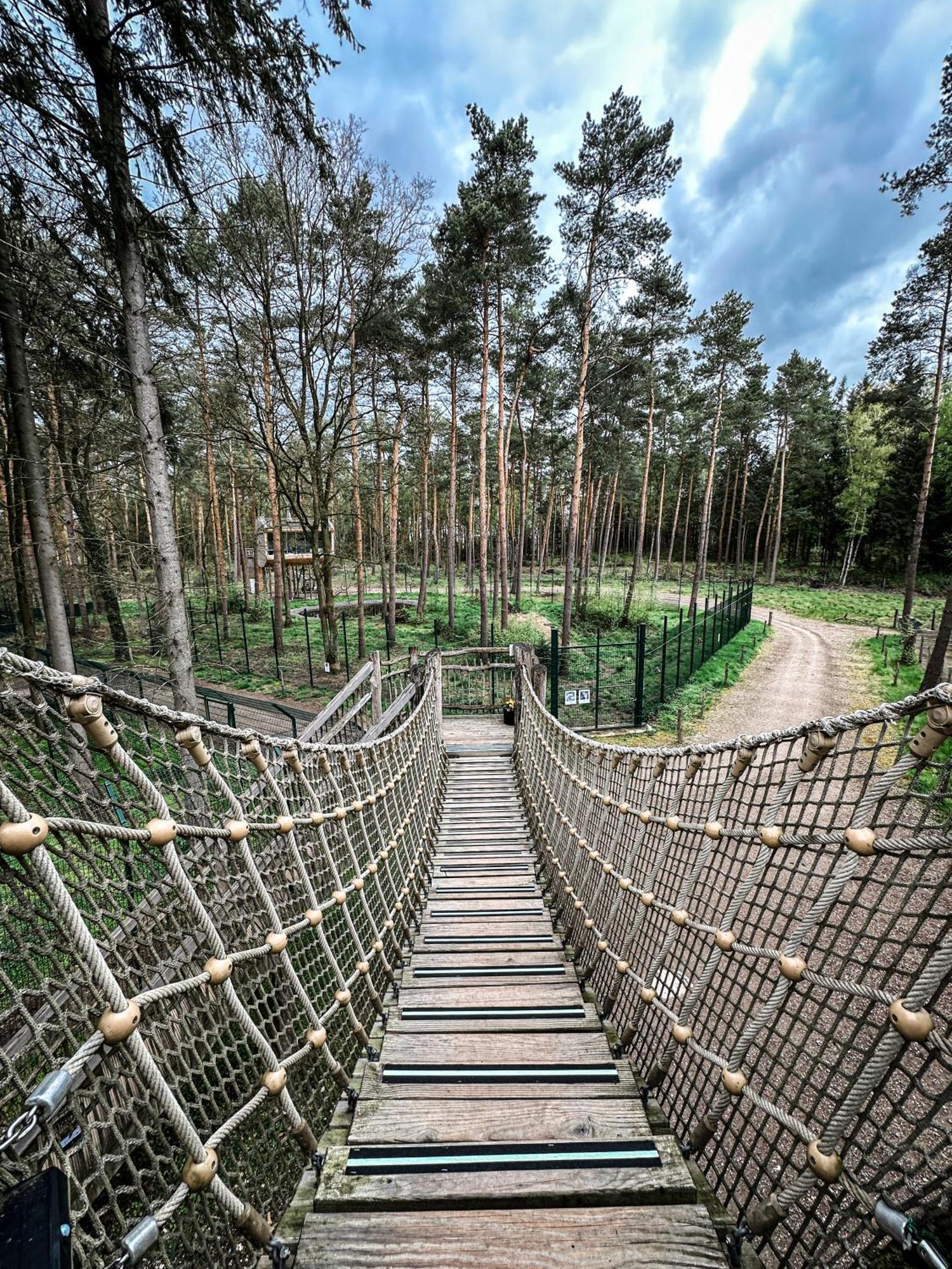 Tree Inn - Das Baumhaushotel Doerverden Екстер'єр фото