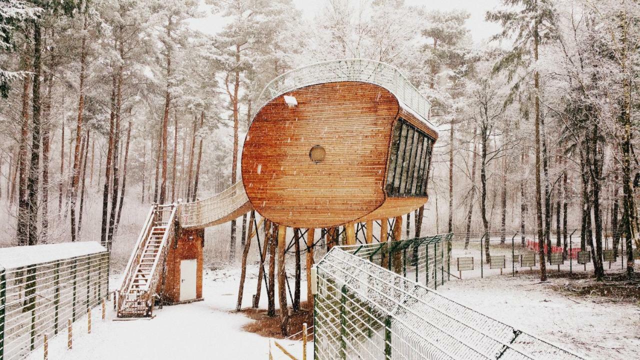 Tree Inn - Das Baumhaushotel Doerverden Екстер'єр фото